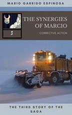 synergies of Marcio 3: Corrective actions