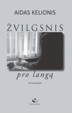 Žvilgsnis pro langą