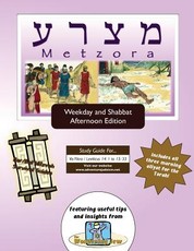 Bar/Bat Mitzvah Survival Guides