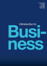Introduction to Business (2025)