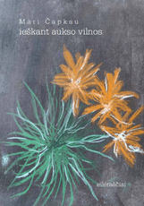 Ieškant aukso vilnos