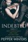 Indebted Series 1-3
