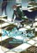 The Ancient Magus' Bride Official Guide Book Merkmal