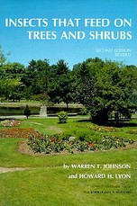Insects That Feed on Trees and Shrubs