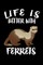 Life Is Better WithFerrets