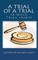 A Trial of A Trial (A Mock Trial story)