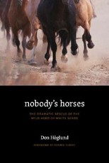 Nobody's Horses