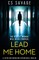 Lead Me Home