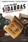 Vilko valanda. Sidabras. Nuotykai Arizonoje