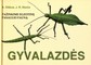 Gyvalazdės