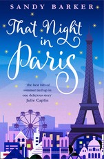 That Night in Paris (the Holiday Romance, Book 2)