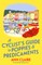 A Cyclist's Guide to Poppies & Predicaments