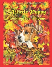 A little Puppy looking for a home