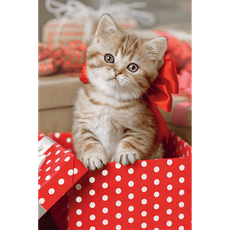 TREFL 54 det. mini dėlionė „Mieli gyvūnai“