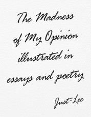 The Madness of My Opinion Illustrated In Essays and Poetry