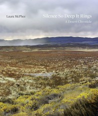 Silence So Deep It Rings