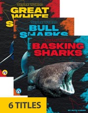 Shark World (Set of 6)