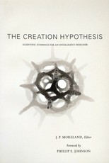 The Creation Hypothesis
