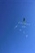 Children of the Air