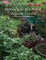 Starting Your First Potted Vegetable Garden