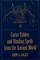 Curse Tablets and Binding Spells from the Ancient World (el. knyga)