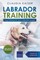 Labrador Training: Dog Training for Your Labrador Puppy