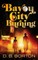 Bayou City Burning