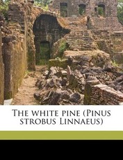 The White Pine (Pinus Strobus Linnaeus)
