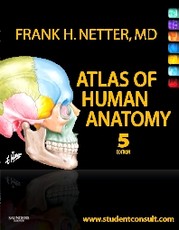 Atlas of Human Anatomy, 5th Edition
