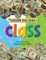 The Awesome Kids Guide to Class