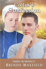 Amish Romance