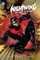 Nightwing: The Prince of Gotham Omnibus (New Edition)
