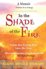 In the Shade of the Fire