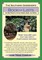 The Southern Gardener's Book of Lists