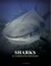 Sharks & Underwater Predators