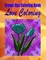 Grown Ups Coloring Book Love Coloring