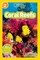 Coral Reefs