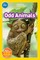 National Geographic Readers: Odd Animals (Pre-Reader)