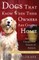 Dogs That Know When Their Owners Are Coming Home