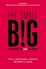 The small BIG