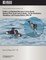Kittlitz's and Marbled Murrelets in Kenai Fjords National Park, South-Central Alaska
