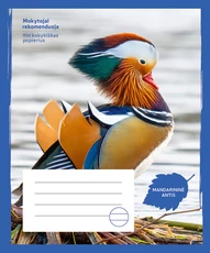 Sąsiuvinis „Mandarininė antis“, 36 lapai, linijomis