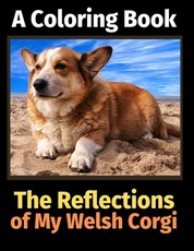 The Reflections of My Welsh Corgi