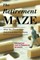 The Retirement Maze