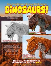 New Creations Coloring Book Series