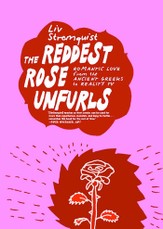 The Reddest Rose Unfurls