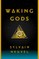 Waking Gods