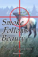 Smoke Follows Beauty