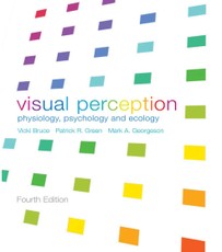 Visual Perception