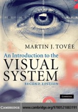 Introduction to the Visual System